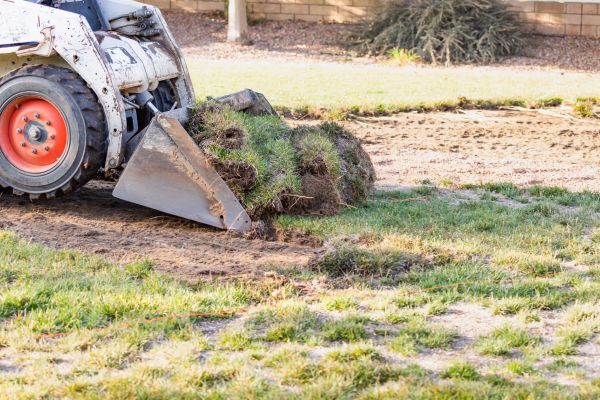 Backyard Earthwork